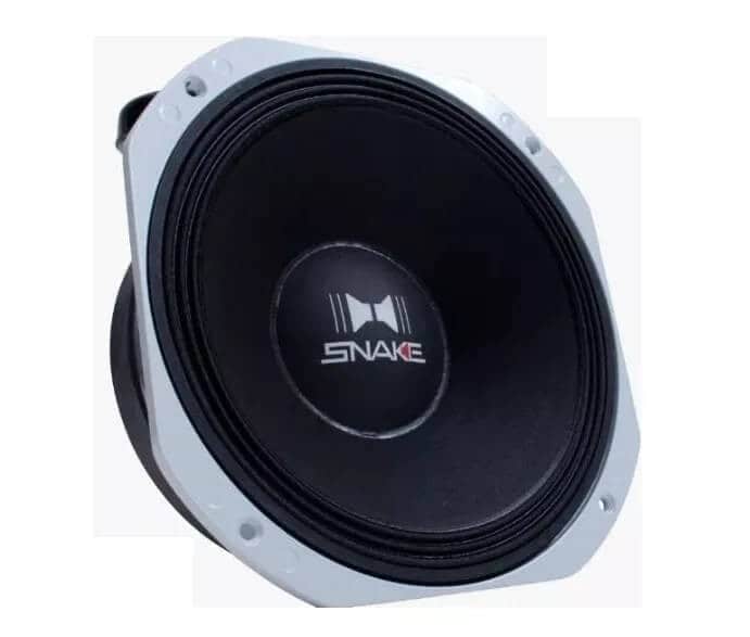 Alto Falante Woofer Snake ESX 810 400 rms 10 Polegadas | Loja do